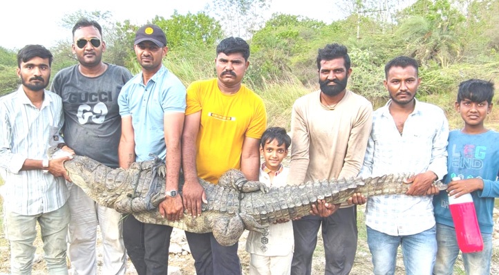 ડેમની અંદરથી 6 મગરનું રેસ્ક્યુ કરાયું