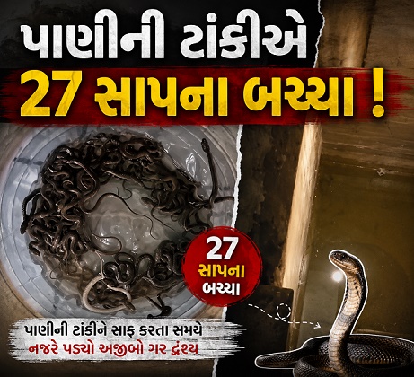ઘરનું પાણીનું નળ ખોલતા 27 સાપ નીકળ્યા, વિડીયો આવ્યો સામે